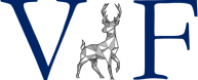 Virtual Finance logo